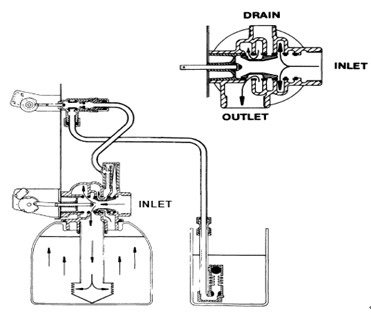 Fleck 3900